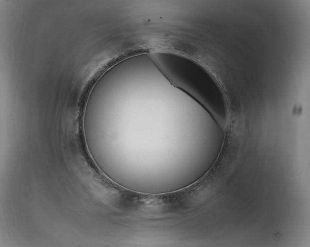 X0000112050395200908041156