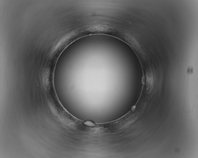 X0000112050396200908041156