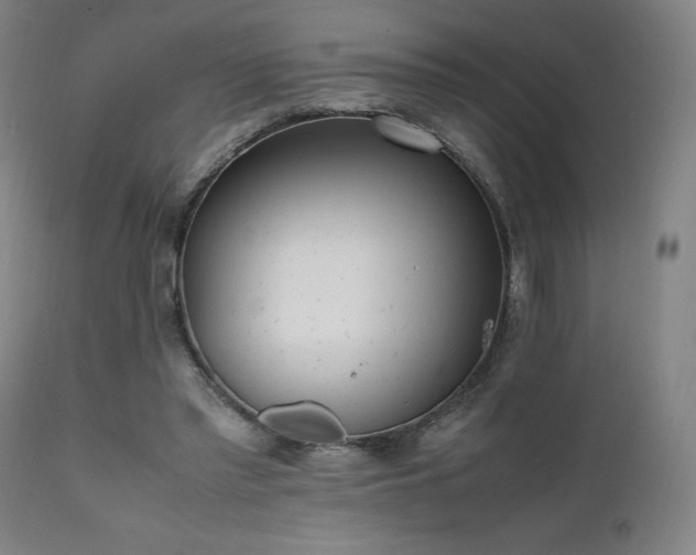 X0000112050397200908041156