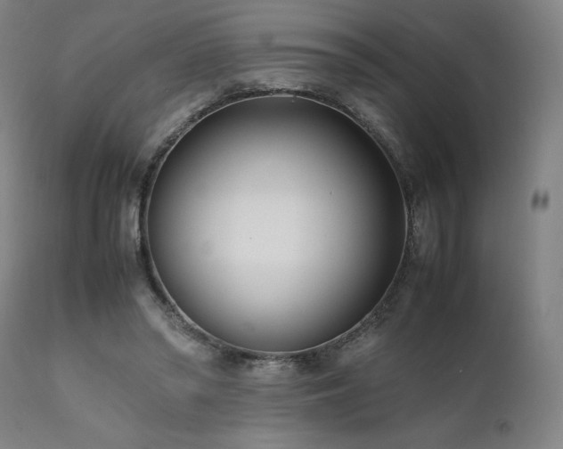 X0000112050398200908041156