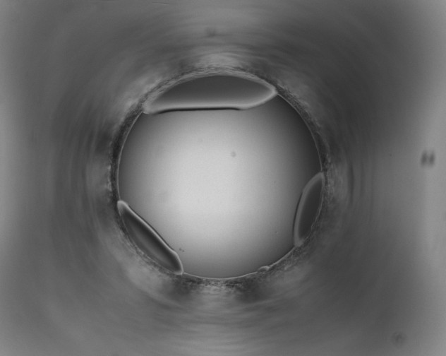 X0000112050399200908041156