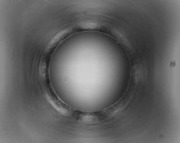 X0000112050400200908041156