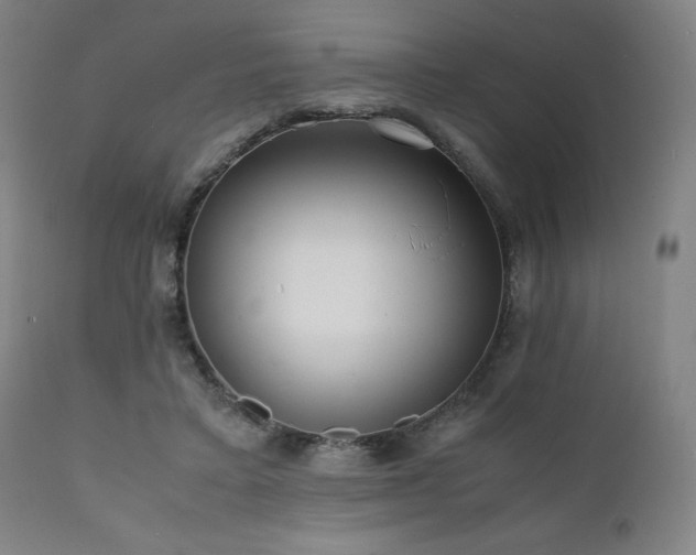 X0000112050403200908041156