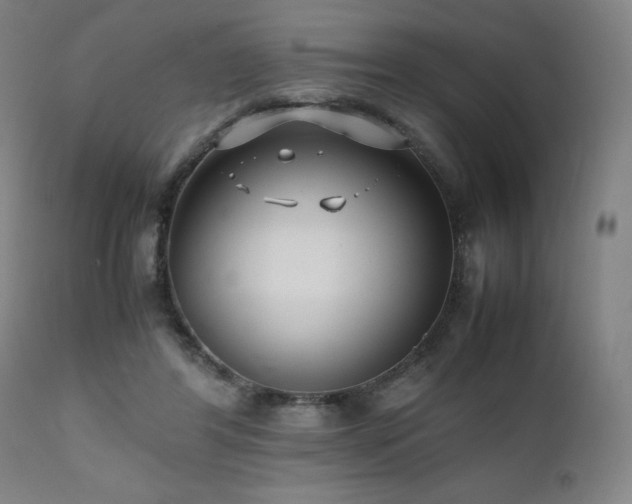 X0000112050404200908041156