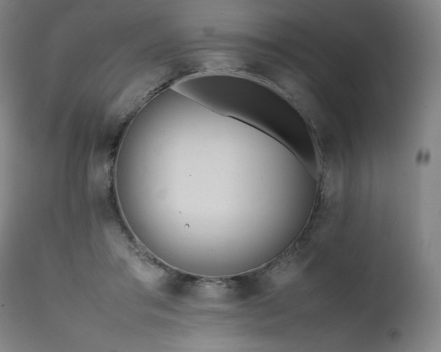 X0000112050405200908041156