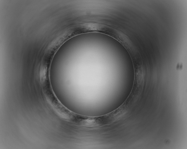 X0000112050406200908041156