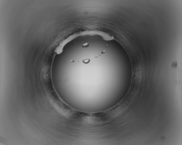 X0000112050408200908041156