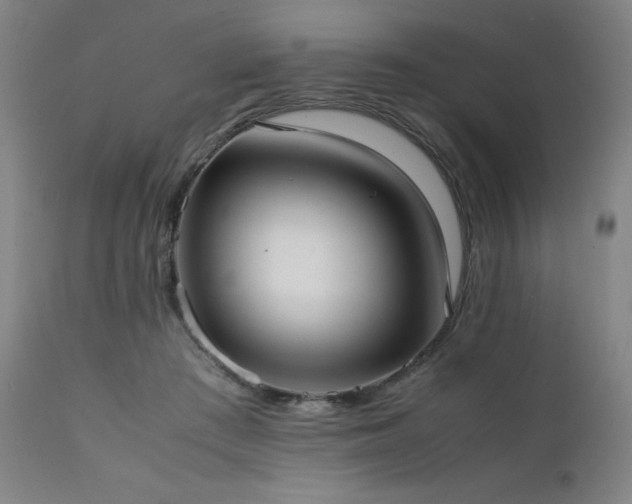 X0000112050409200908041156