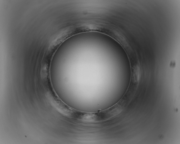 X0000112050410200908041156