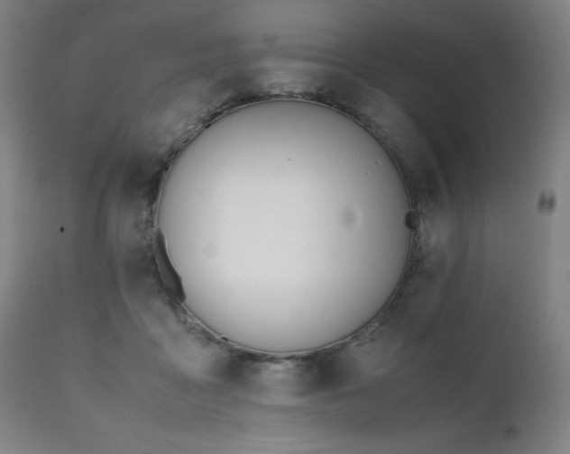 X0000112050411200908041156