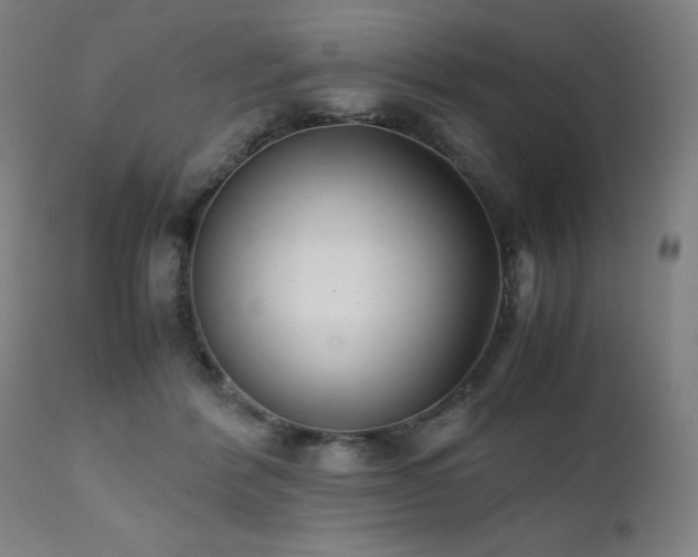 X0000112050412200908041156