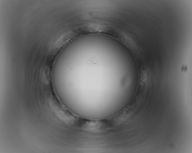 X0000112050414200908041156