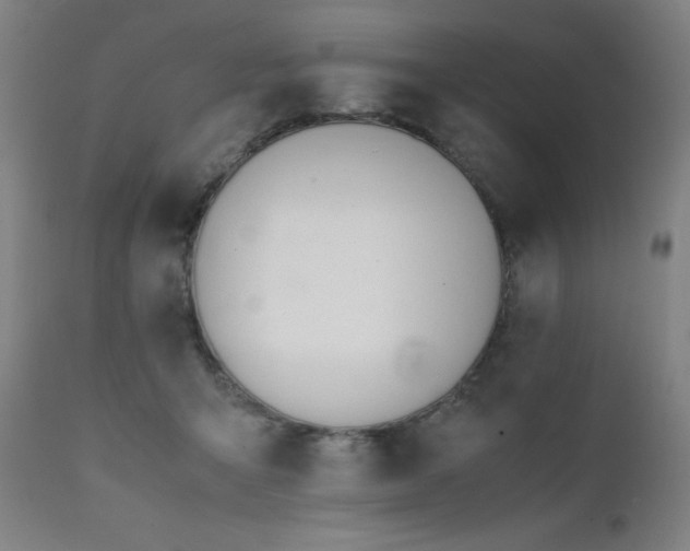 X0000112050415200908041156