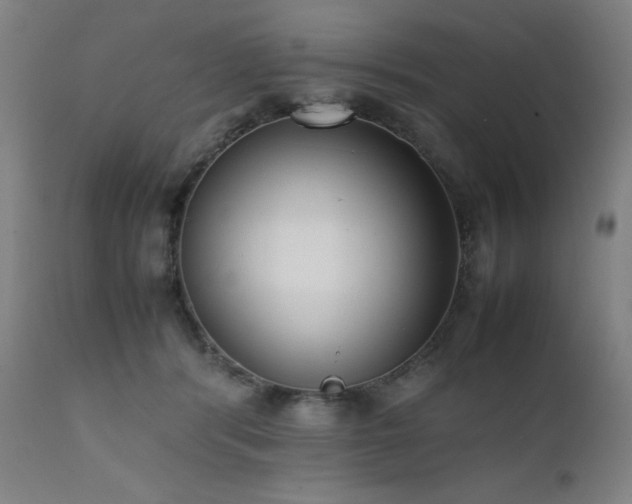 X0000112050416200908041156