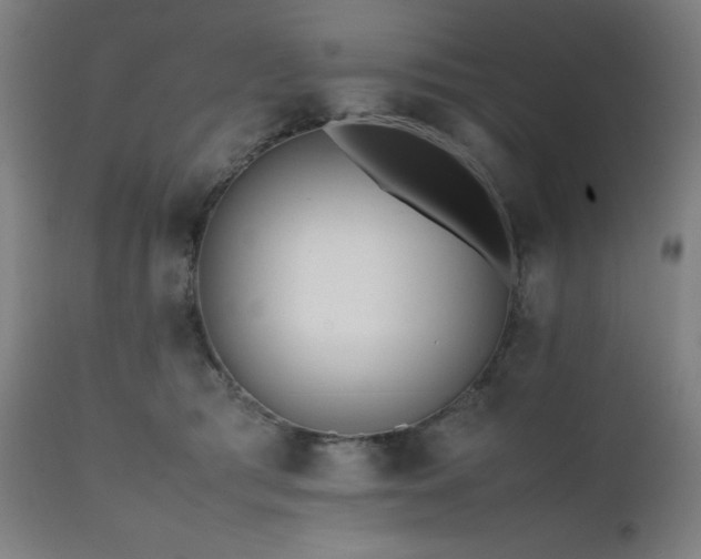 X0000112050417200908041156