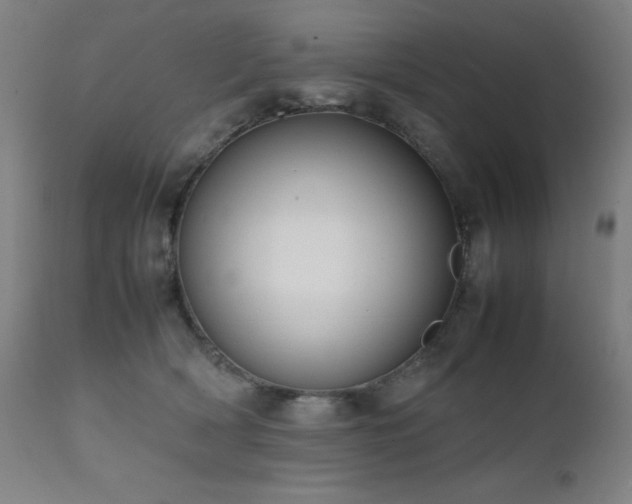 X0000112050418200908041156