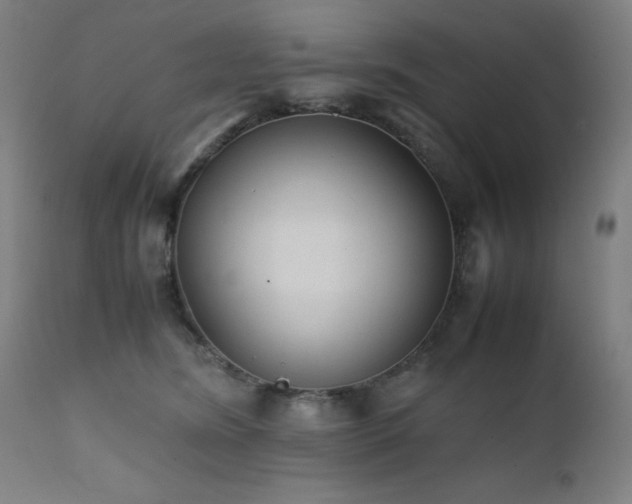 X0000112050420200908041155