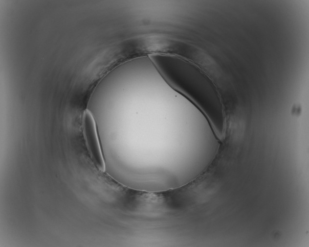 X0000112050421200908041155