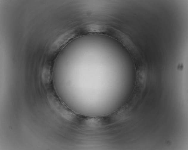 X0000112050422200908041155