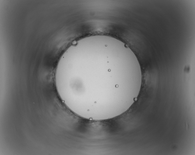 X0000112050423200908041155