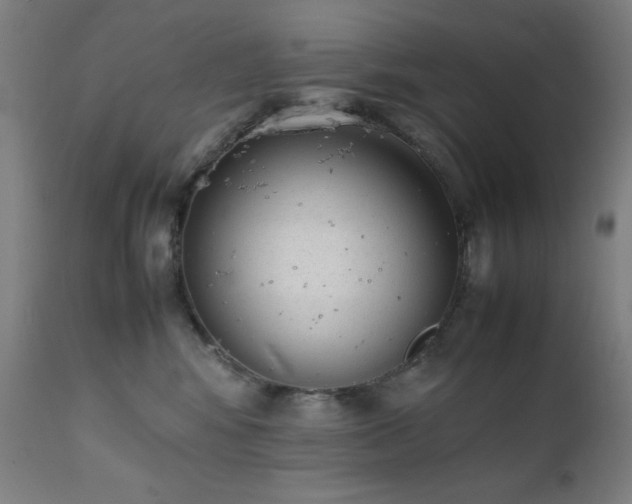 X0000112050424200908041155