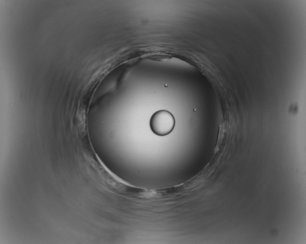 X0000112050425200908041155