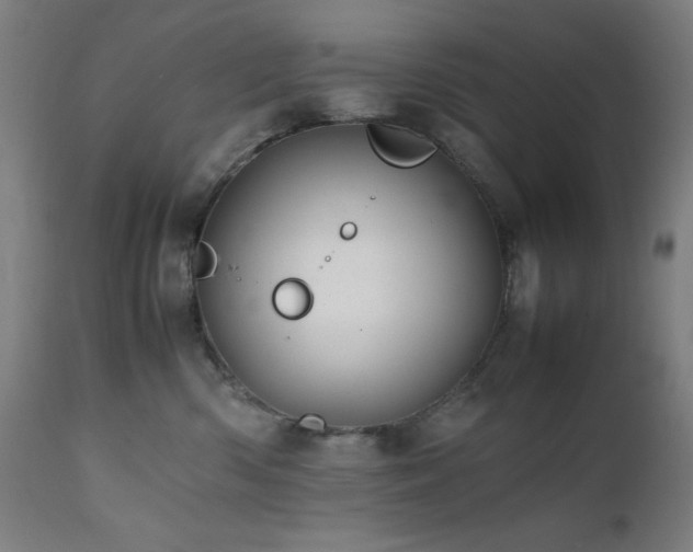 X0000112050426200908041155