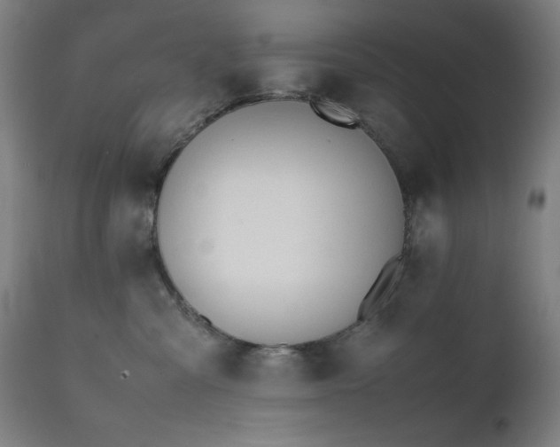 X0000112050427200908041155