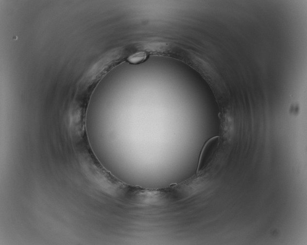 X0000112050428200908041155