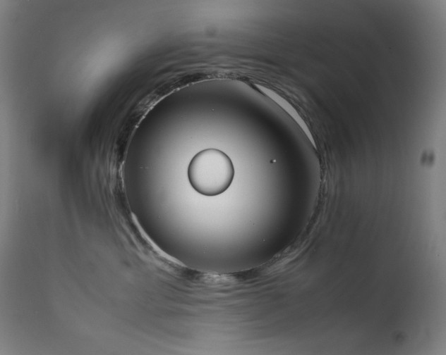 X0000112050429200908041155