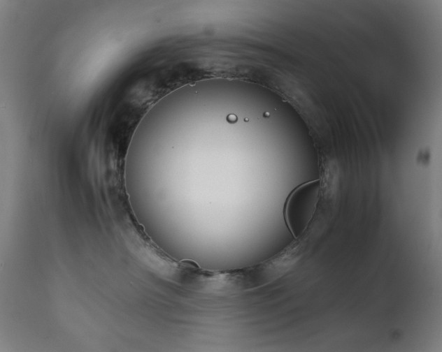 X0000112050430200908041155