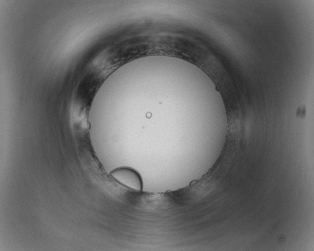 X0000112050431200908041155