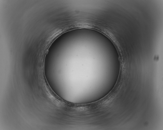 X0000112050433200908041154