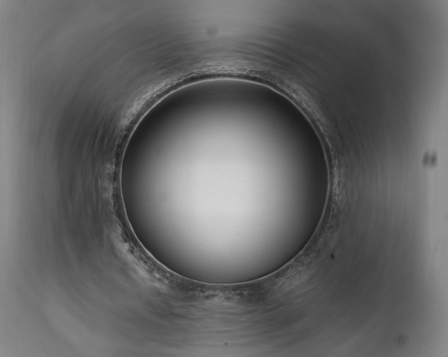 X0000112050434200908041154