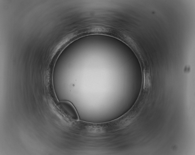 X0000112050435200908041154