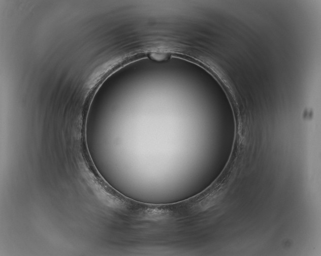 X0000112050437200908041154