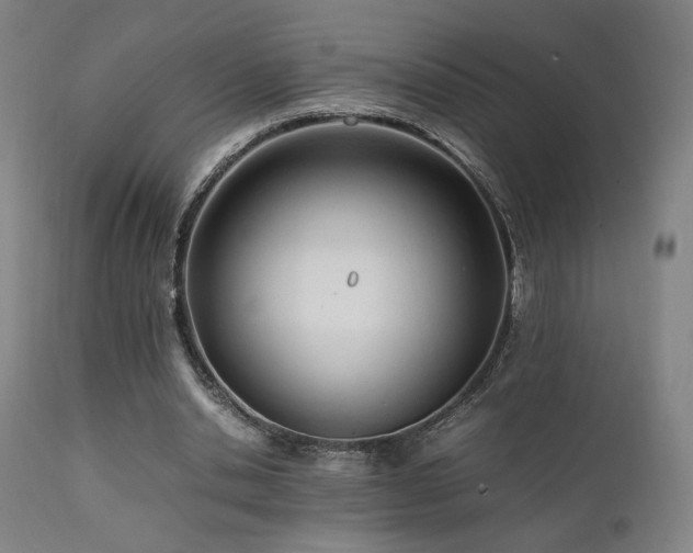 X0000112050438200908041154