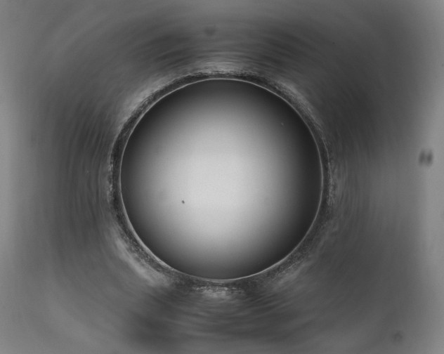 X0000112050439200908041154