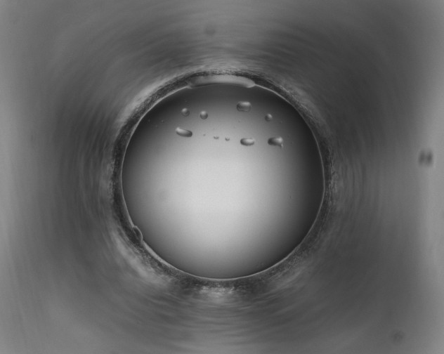 X0000112050440200908041154