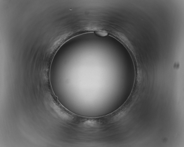 X0000112050441200908041154