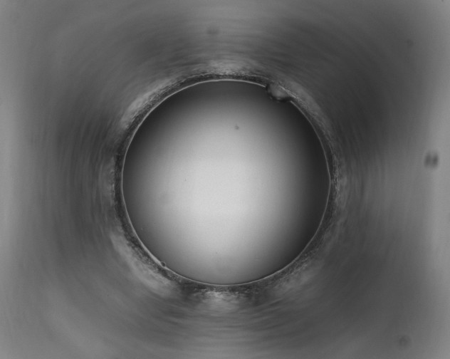 X0000112050442200908041154