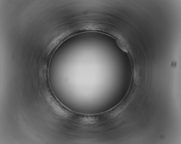 X0000112050445200908041154