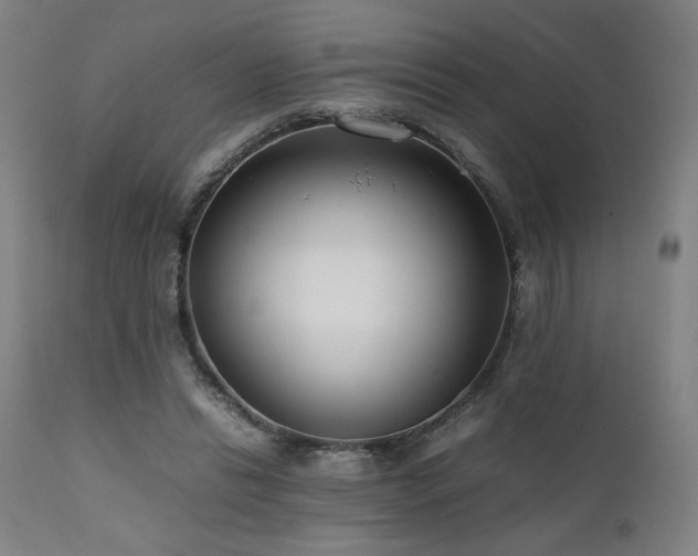 X0000112050446200908041154