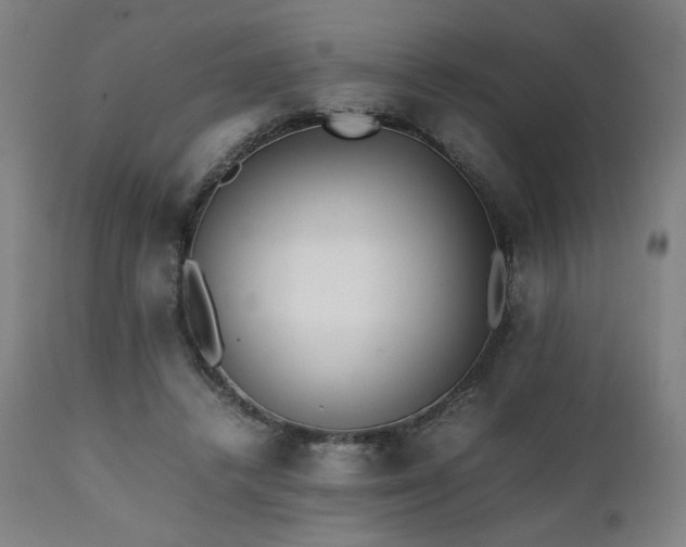 X0000112050448200908041154