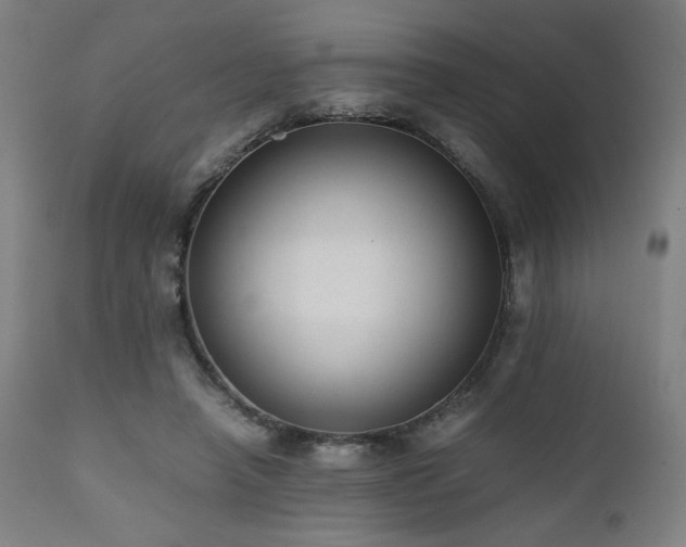 X0000112050450200908041154