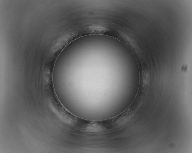 X0000112050451200908041154