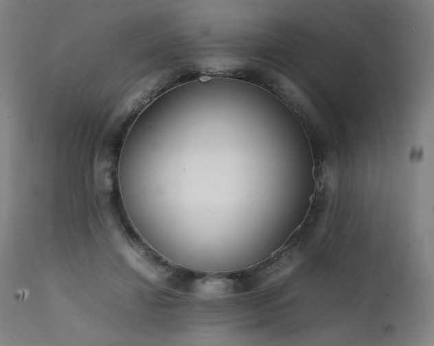 X0000112050452200908041154