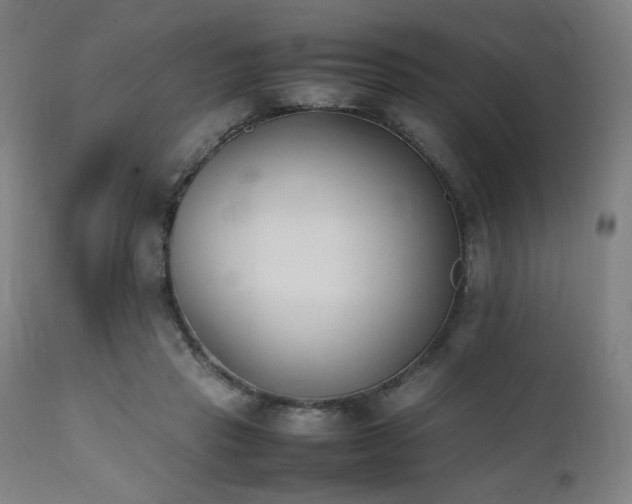 X0000112050453200908041155