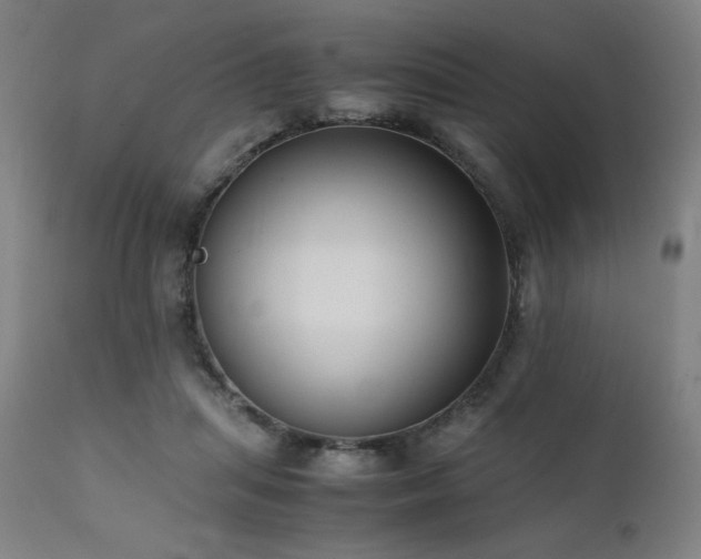 X0000112050455200908041155