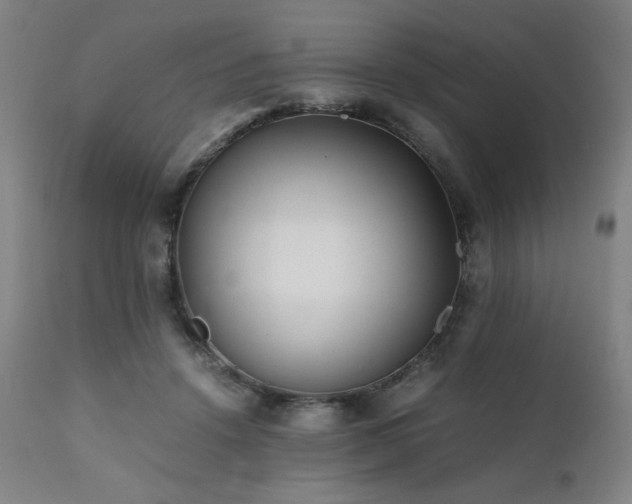 X0000112050456200908041155